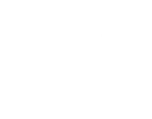 safety captain